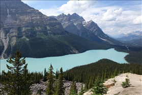 Peyto Lake